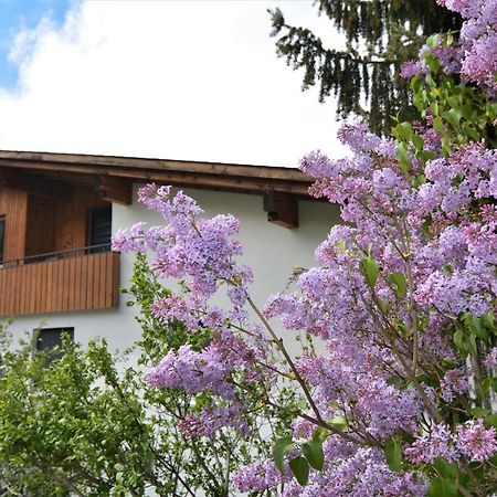 Apartamento Tgesa Zundregn Savognin Exterior foto